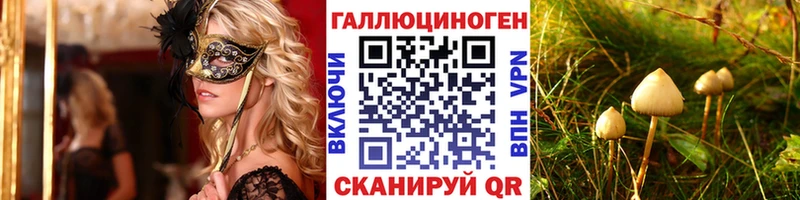 Купить  Межгорье  Псилоцибиновые грибы Psilocybine cubensis 