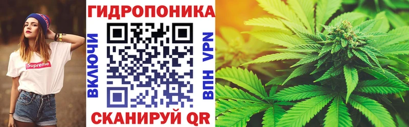 Бошки марихуана THC 21%  Купить  Межгорье 